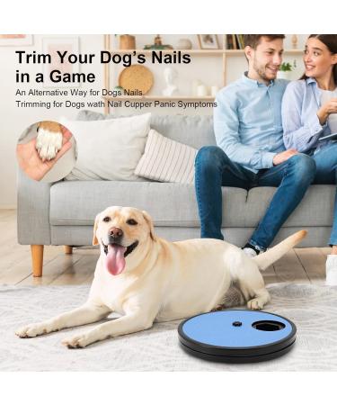Beowanzk Multifunctional Dog Nail Scratchboard with 6-Compartment Food Storage - Blue - Buy Online on SooperMarket.com