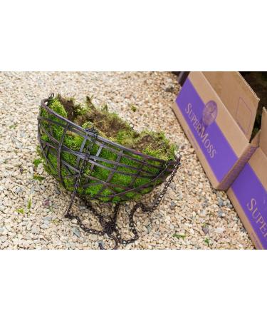 SuperMoss 21509 Sheet Moss 2oz Bag - Preserved Fresh Green Moss for Crafts and Decor - Buy Online on SooperMarket.com