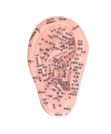 6.7 inch Ear Acupuncture Model Silicone Engraving Ear Massage Acupuncture Model Acupoint Learning Display Model for Home Laboratory Personal Care