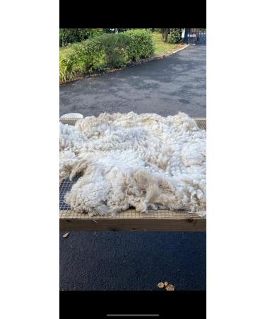 ALPACA BIRD NESTING MATERIAL - Buy Online on SooperMarket.com