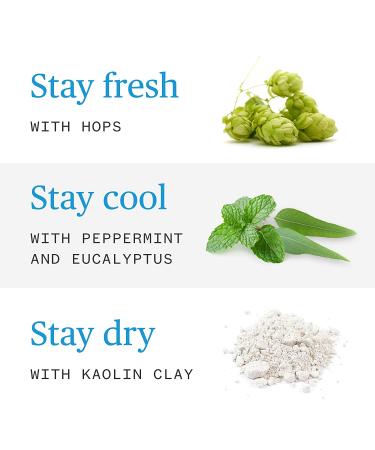 Ursa Major Hoppin Fresh Natural Deodorant - Aluminum-Free, Cruelty-Free, 2-Pack (2.6 oz) - Buy Online on SooperMarket.com