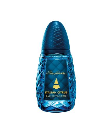 Pino Silvestre Italian Citrus Perfume for Men - Woody Aromatic Scent - Blended with Lemon Pine Apple Patchouli and Musk - for Calm Collective Gentlemen - 4.2 oz EDT Spray