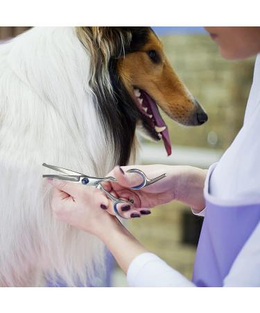Professional 5 in 1 Dog Grooming Scissors Kit with Safety Round Tips - Stainless Steel Shears & Comb Set for Cats & Dogs | Blue - Buy Online on SooperMarket.com