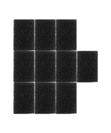 FRCOLOR 32 Pcs Special Effects Makeup Tool Set | Stippling Sponges & Polyurethane Brushes for Halloween & Body Makeup - Black (Pack of 1 - Buy Online on SooperMarket.com