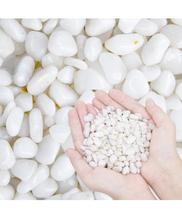 OUPENG Pebbles Polished Gravel, Natural Polished White Stones 3/8" Gravel Size, Small Decorative River Rock Stones 2-lb Bag (32-Oz) 2 LB (32-Oz)
