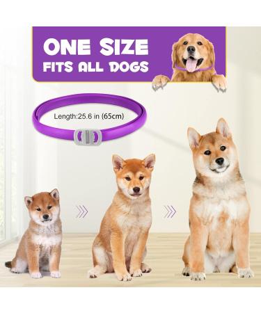 Bieyoc Calming Collar for Dogs 3 Packs Dog Anxiety Relief Adjustable Calming Collar for dogs Separation Anxiety Relief Stress 60 Days Long Lasting Calming Effect for Large Middle and Small Dogs - Buy Online on SooperMarket.com