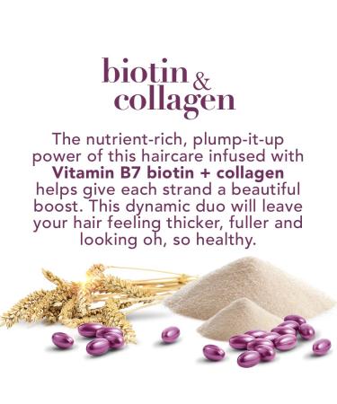 OGX Thick & Full Biotin & Collagen Shampoo & Conditioner Set 13 Fl Oz (Pack of 2) - Purple - Buy Online on SooperMarket.com