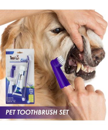 Visiblurry Cat Toothbrush & Pet Toothpaste Set | Essential Puppy Supplies for Home & Veterinary Care - Buy Online on SooperMarket.com