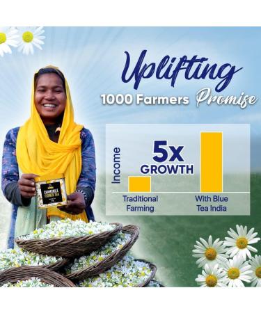 BLUE TEA - Assorted Flower Herbal Sampler Tea Pack (6 Flavors 30 Tea Bags) | Unique Flavors | CAFFEINE FREE | Variety Gifts Pack | Gifts for Her & Him | - Buy Online on SooperMarket.com