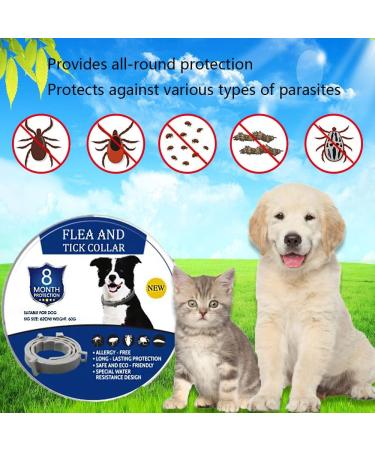 Teck Neck Band for Dogs & Cats | Adjustable Tick & Flea Collar | 100% Natural Ingredients | Up to 8 Months Protection - Buy Online on SooperMarket.com