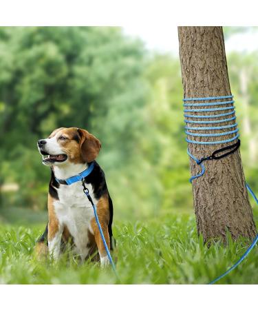 Joytale 15m Reflective Dog Leash - Padded Handle 2 Carabiner Hooks Nylon Training Line for Small Dogs & Puppies - Blue | International Shipping - Buy Online on SooperMarket.com