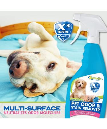 STAR BRITE Multi-Surface Pet Odor & Stain Remover Spray - Triple Enzyme Neutralizer - 22 OZ | Effective Pet Stain Solution Worldwide - Buy Online on SooperMarket.com