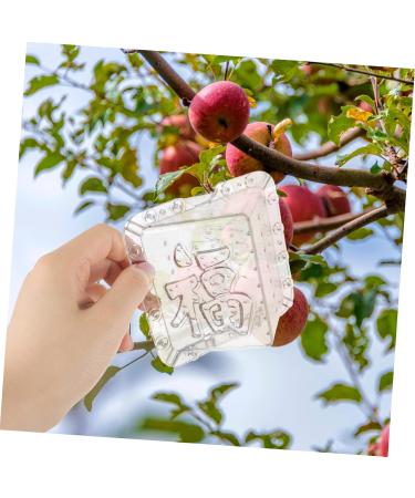 Mipcase 2pcs Square Apple Molds Fruit Vegetable Molds for Gardening Melon Stereotypes Plastic - Buy Online on SooperMarket.com