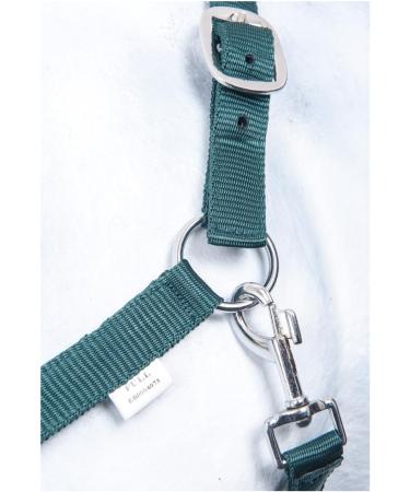 Nylon Halter BASICLINE - Dark Green Warmblood | RL24 | Durable & Stylish Horse Gear - Buy Online on SooperMarket.com
