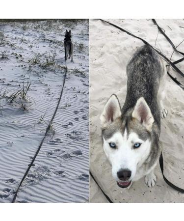 Training Leads for Dogs - Nylon Long Training Dog Leash Long Dog Recall Lead Long Line for Dog Tracking Training Long Lead Leash for Pet Recall Obedience with Comfortable Padded Handle (Black 5m/16ft) Black 5m/16ft - Buy Online on SooperMarket.com