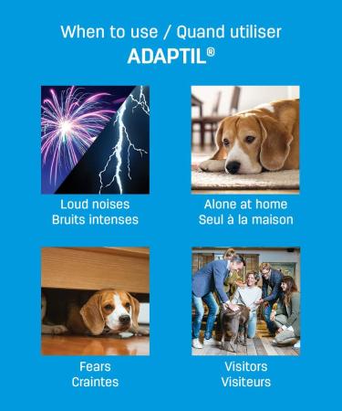 ADAPTIL Refill - Calms & Comforts Dogs at Home When Home Alone or During Loud Noises & Stressful Events - Use ADAPTIL for Dogs with ADAPTIL Diffusers (30 Day Supply ADAPTIL Refill C133) - Buy Online on SooperMarket.com