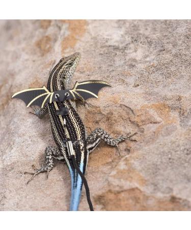 WEBEEDY 2 Sets Bearded Dragon Lizard Harness Leash 3 Size Pack Leather Adjustable Dinosaur Wing Lizard Harness Leash for Bearded Dragon Lizard Reptiles Safety Outdoor Walking - Buy Online on SooperMarket.com
