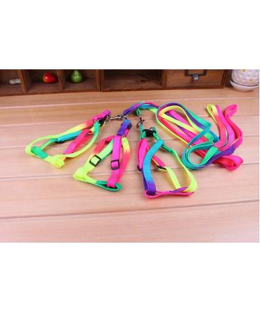Hypeety Rainbow Design Pet Bird Harness & Leash | Outdoor Anti-Bite Training Rope for Macaw & Large Birds | Adjustable & Safe Parrot Leash (L 1.5cm 47.24in) - Buy Online on SooperMarket.com