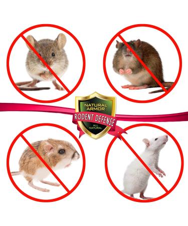 Natural Armor Peppermint Repellent for Mice/Rats & Rodents - 128oz Gallon Spray | Indoor/Outdoor Shield - Buy Online on SooperMarket.com