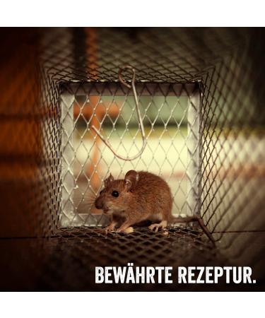 Martenbrown Rodent Feast: Premium Kneadable Mouse Bait & Trap Lure for Mice and Rats - International Shipping Available - Buy Online on SooperMarket.com