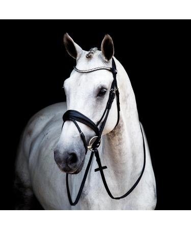 St bben Bridle 2810 Switch Magic Tack - Black Varnish Warmblood with Curved Noseband | International Shipping - Buy Online on SooperMarket.com
