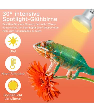 Buy Lucky Herp Reptiles Heat Lamp 100W - UV UVA Light for Turtles Chickens Dogs & Amphibians | 2-Pack Upgrade for Terrariums - Buy Online on SooperMarket.com
