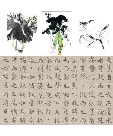 Juedi Chinese Calligraphy Brush Set - Pack of 5 | Ideal for Watercolor, Sumi Drawing, and Writing - Buy Online on SooperMarket.com