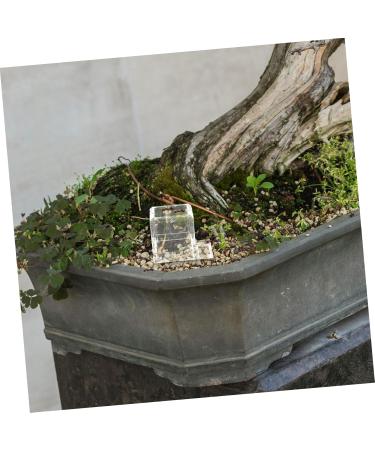BESPORTBLE Pet Water Feeder Ants Water Feeding Supply Small Ants Feeder Ants Habitat Water Feeding Plastic - Buy Online on SooperMarket.com