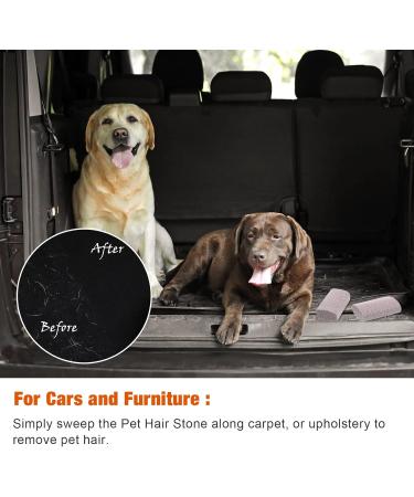 2-Piece Pet Hair Removal Tool | Bimsstein Foot Care & Corneal Remover | Easy Clean Carpet Couch & Furniture - 4 Inches - Buy Online on SooperMarket.com