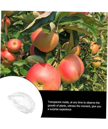 SUPVOX Cucumber Shaping Mold 2pcs Fruit Mold Accessories Growing Shaping Pear Ingot Ingot-Shaped Vegetable Molds Garden Yard - Buy Online on SooperMarket.com