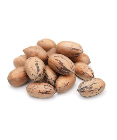 Anna and Sarah Premium Georgian Raw Fresh Pecans in Shell (4.5 Lbs in Bag) 4.5 Pound (Pack of 1)