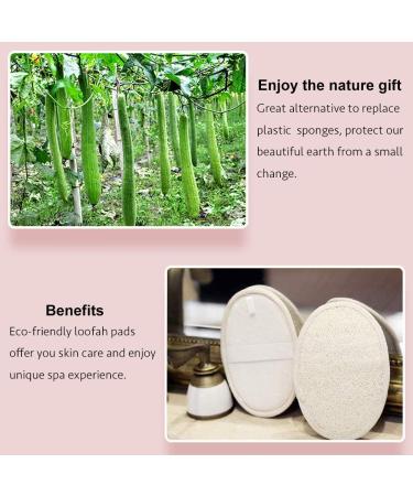 Pack of 6 Natural Organic Loofah Sponge Pads for Exfoliating Skin | Bath & Shower Scrubber with Adhesive Hook - Buy Online on SooperMarket.com