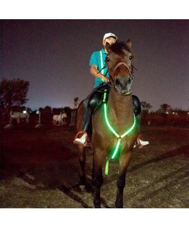 Dowoa LED Horse Harness - Robust & Comfortable Chest Strap for Safety | Best Visibility for Riding - Green - Buy Online on SooperMarket.com