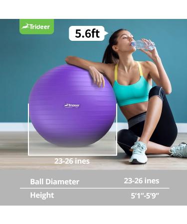 Trideer 65cm Purple Exercise Ball Chair with Base & Bands - Home Gym Workout & Back Pain Relief - Buy Online on SooperMarket.com
