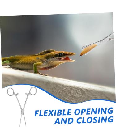 HAPINARY Reptile Feeding Clip Feeding Tools Aquarium Tongs Extra Long Silver Stainless Steel - Buy Online on SooperMarket.com