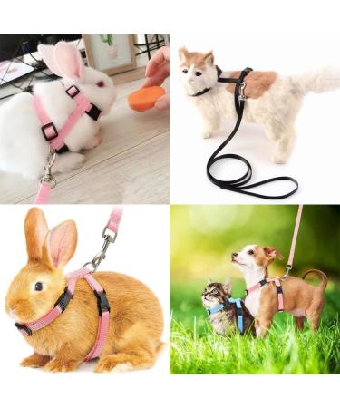 Yutou Soft Cat Dishes & Adjustable Leash Set - Outbreak-Proof Harness for Kittens Puppies & Rabbits - Buy Online on SooperMarket.com