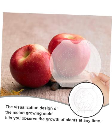 Kisangel 4 Pcs Vegetable Shaping Mold Fruit Shaping Mold Melon Mold Cantaloupe Square Watermelon Plastic - Buy Online on SooperMarket.com