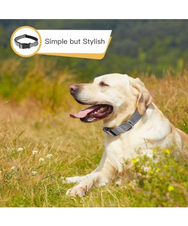 Heele Dog Collar - Soft Padded Neoprene Nylon Adjustable Reflective Collar for Small & Medium Dogs Gray (L: 40-66 cm) - Ideal for Training & Comfort - Buy Online on SooperMarket.com