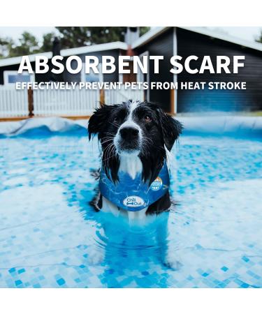 ALL FOR PAWS Chill Out Ice Bandana - Large | Cool Your Dog Down Internationally - Buy Online on SooperMarket.com