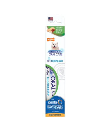 Nylabone Advanced Oral Care Natural Toothpaste Peanut Butter 2.5 oz. (1 Count) Peanut Butter 1 count (Pack of 1)