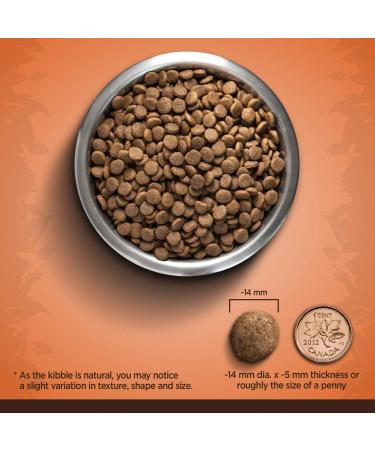 Zo Dry Dog Food Medium Breed Turkey/Chickpea/Sweet Potato Recipe 5 kg 92927 - Buy Online on SooperMarket.com