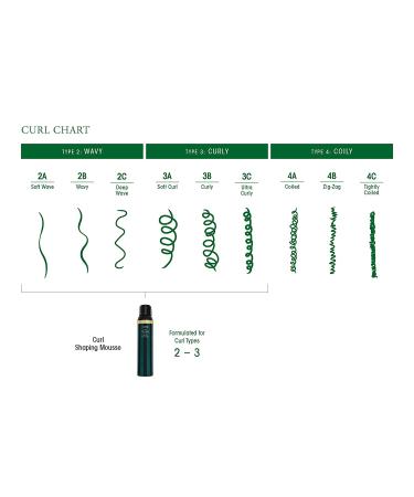 Oribe Curl Shaping Mousse 5.7 Fl Oz - Enhance Your Curls | Pack of 1 - Buy Online on SooperMarket.com