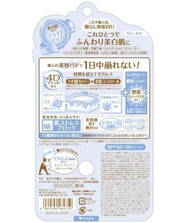 Craftsman Mineral BB Powder Painting Bu-160 Bright Skin Color White - Pores Putty Finish - Buy Online on SooperMarket.com