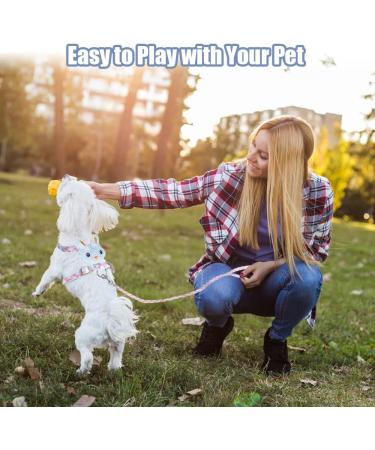 Adjustable Rabbit Leash & Cat Dishes - Perfect for Small Pets | International Shipping - Buy Online on SooperMarket.com