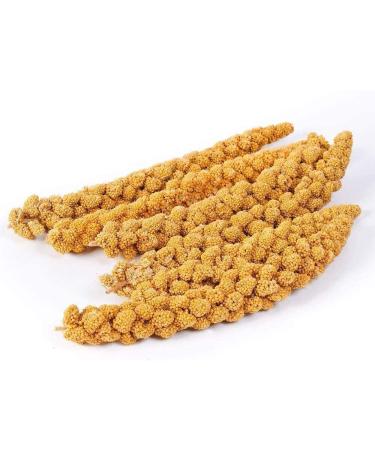 SIPW - Small Animal Hamster Caged Bird Budgie Millet Sprays Sprigs (5 x Sprays of Millet) - Buy Online on SooperMarket.com