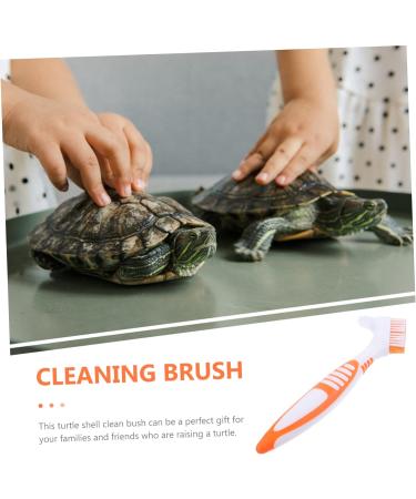 Beaupretty Turtle Shell Cleaning Brush grip cleaning brush turtle cleaning brush aquatic animal cleaning brush hamster cleaning brush toothbrush cleaner tool reptile care plastic water turtle 16x5cm As Shown 2 - Buy Online on SooperMarket.com