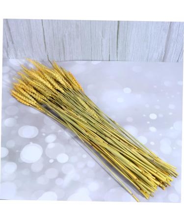 MAGICLULU 1 Decor Natural Wheat Rural Wheat Dried Wheat Simulation Wheat Dried Flowers Bouquet - Buy Online on SooperMarket.com