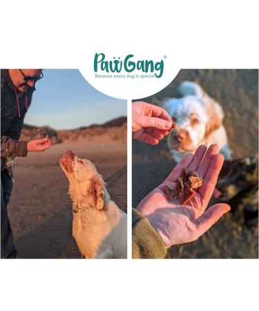 PawGang - Beef Jerky 200g - 100% Natural EU Sourced Treats for Dogs Puppies Young Adult Old Small and Large Dog - Tasty Air Dried Chews Snacks - Healthy Hypoallergenic - Low Fat Grain Free - BARF Raw - Buy Online on SooperMarket.com
