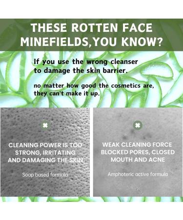 Trendyfave Aloe Vera Gel Foaming Cleanser Face Wash Natural Acne Face Wash Built-In Silicone Cleaning Brush For Acne Prone & Oily Skin Exfoliating Face Wash - Soothe Purify Facial Skin Care - Buy Online on SooperMarket.com