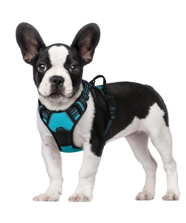Rabbitgoo dog harness medium -sized anti -train dishes with control no pull adjustable dog harnesses large dogs breathable reflex stripes breast harness safe guidance blue green s (1 Pack) blue -green